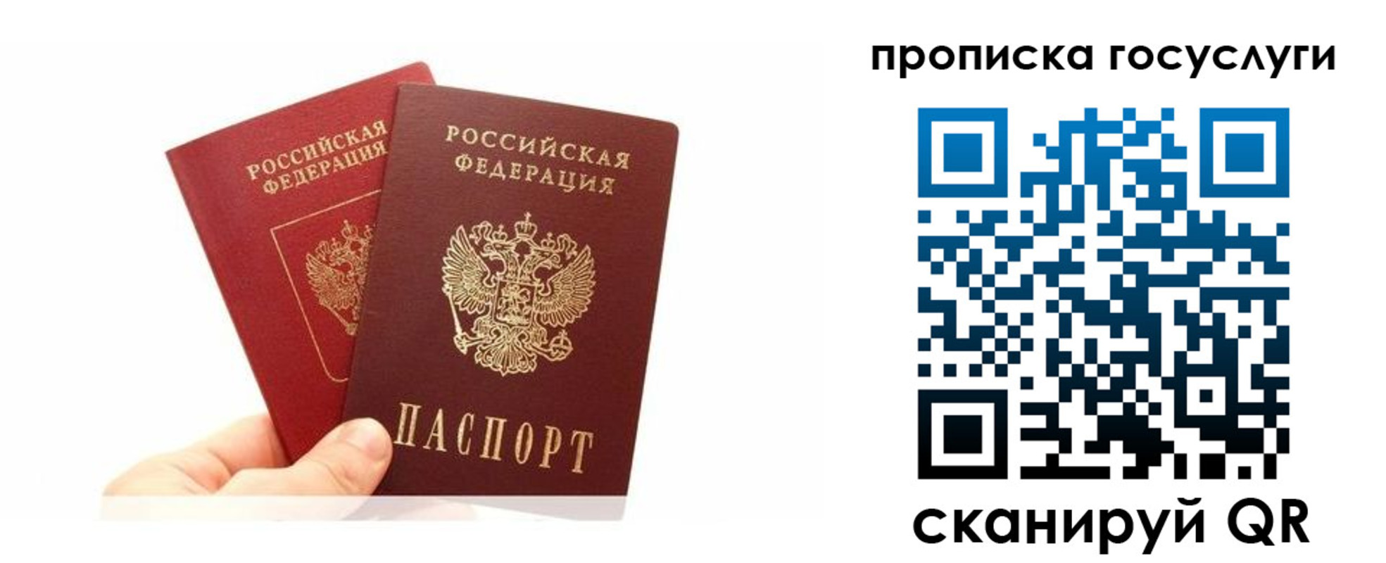 временная регистрация для всех в Дмитрове
